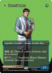 Bruce Banner (Borderless) (0359)