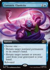 Fantastic Elasticity (Extended Art)