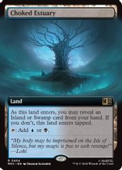 Choked Estuary (Extended Art)
