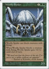 Woolly Spider