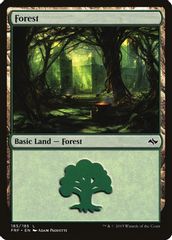 Forest (185)