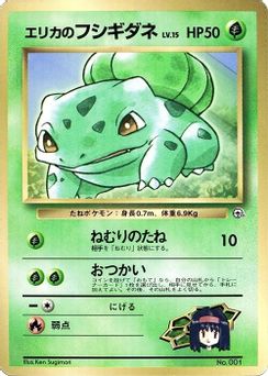 Erika's Bulbasaur 018