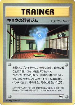 Koga's Ninja Gym 030