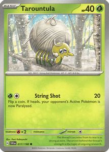 Tarountula 017 198