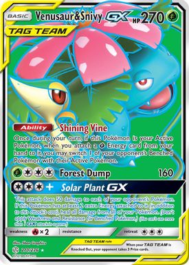 Venusaur & Snivy GX — Full Art card image