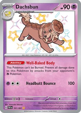 Dachsbun — Shiny Rare card image