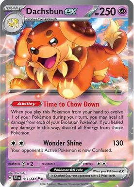 Dachsbun EX card image