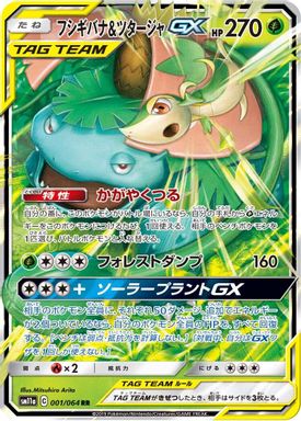Venusaur & Snivy GX card image