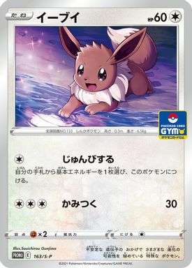 Eevee — Pokemon Card Gym card image