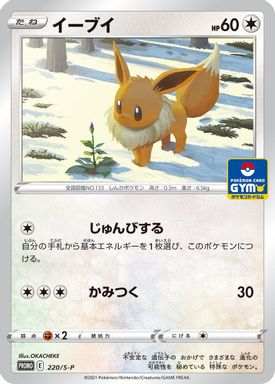 Eevee — Pokemon Card Gym card image