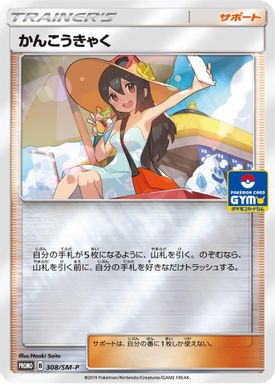 Sightseer — Pokemon Card Gym card image