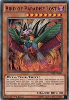 Bird of Paradise Lost