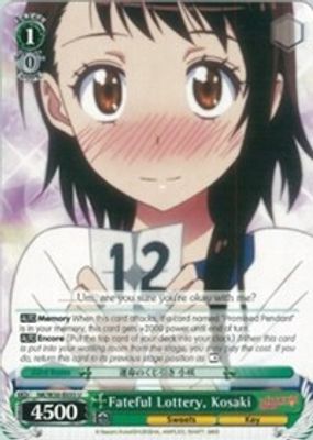 Fateful Lottery, Kosaki