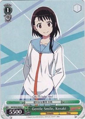 Gentle Smile, Kosaki