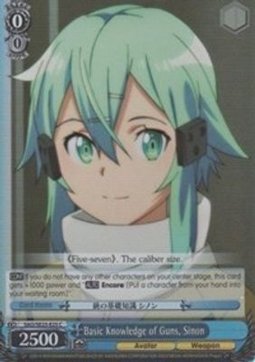 Basic Knowledge of Guns, Sinon (Parallel Foil)
