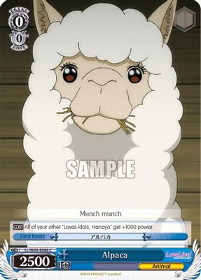 Alpaca
