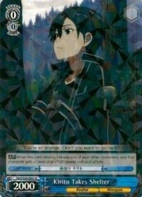 Kirito Takes Shelter