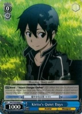 Kirito's Quiet Days