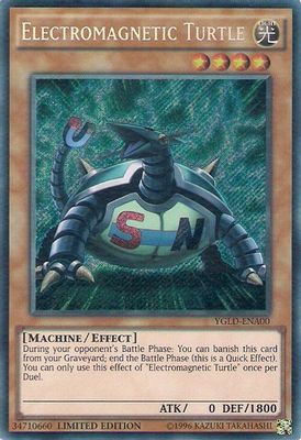 Electromagnetic Turtle