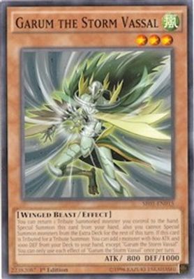 Garum the Storm Vassal