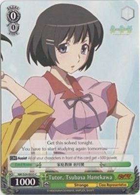 Tutor, Tsubasa Hanekawa