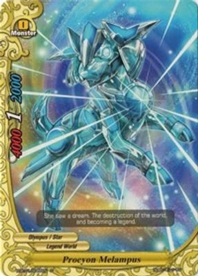 Procyon Melampus