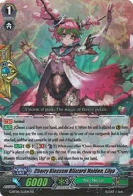 Cherry Blossom Blizzard Maiden, Lilga