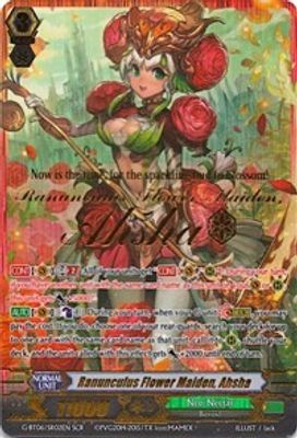 Ranunculus Flower Maiden, Ahsha