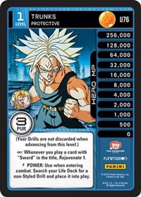 Trunks - Protective