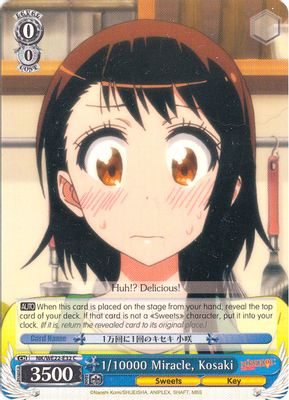 1/10000 Miracle, Kosaki