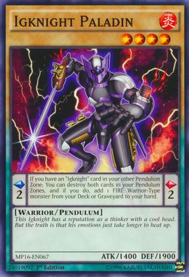 Igknight Paladin
