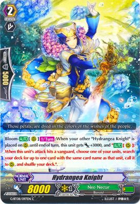 Hydrangea Knight