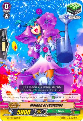 Maiden of Evolvulus