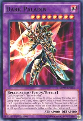 Dark Paladin