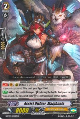 Assist Owlner, Maighneis