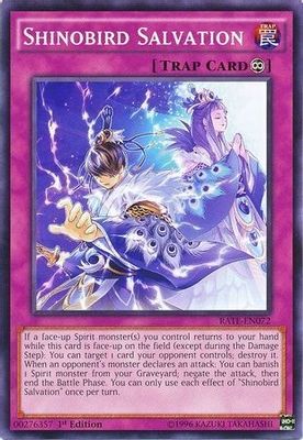 Shinobird Salvation