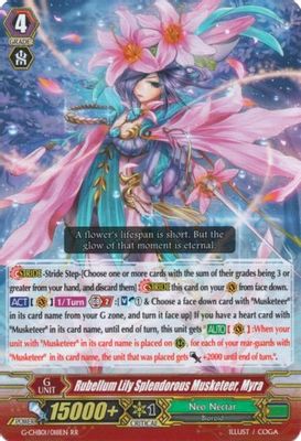 Rubellum Lily Splendorous Musketeer, Myra