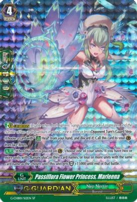 Passiflora Flower Princess, Marleena (SP)