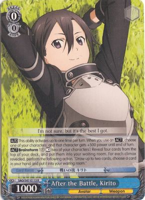 After the Battle, Kirito