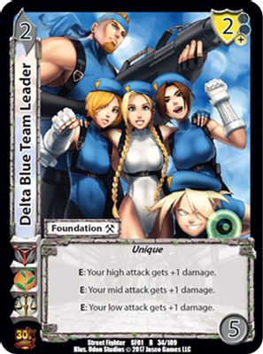 Delta Blue Team Leader