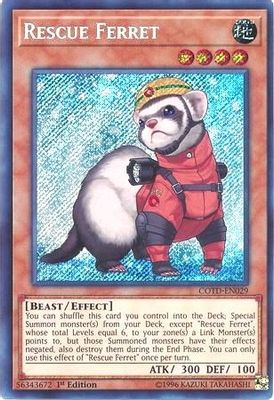 Rescue Ferret