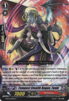 Tempest Stealth Rogue, Fuuki