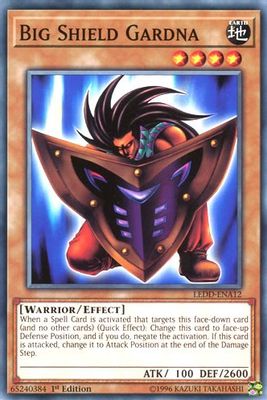 Big Shield Gardna