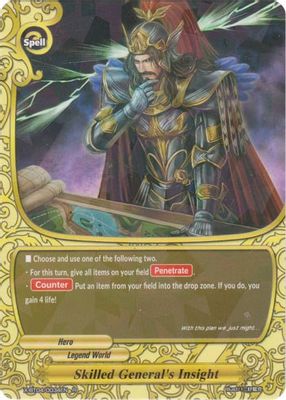Skilled General's Insight