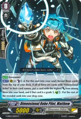 Dimensional Robo Pilot, Matthew