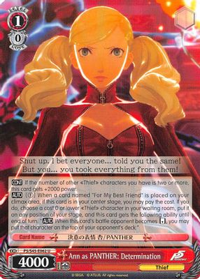 Ann as PANTHER: Determination