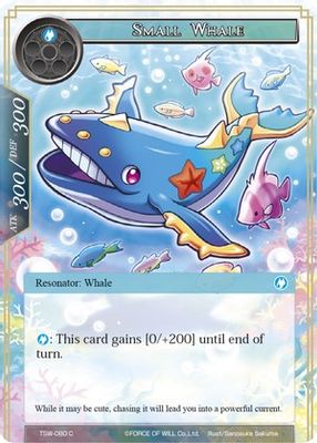 Small Whale
