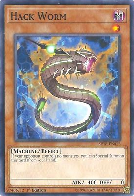 Hack Worm