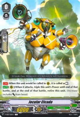 Jocular Cicada