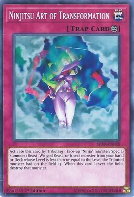 Ninjitsu Art of Transformation